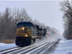 CSX 5498 on I169